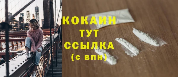 прущие грибы Надым