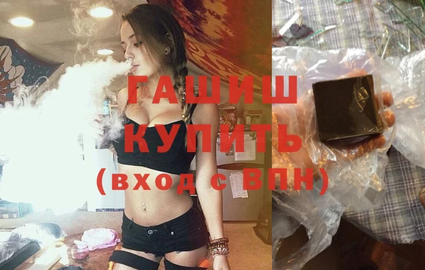 прущие грибы Надым