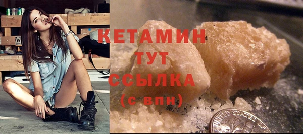 прущие грибы Надым