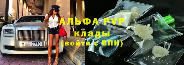 прущие грибы Надым