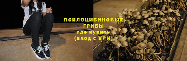прущие грибы Надым