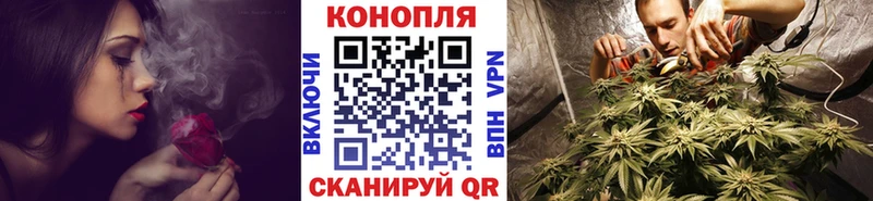 Шишки марихуана OG Kush  Купить закладки  Палласовка 